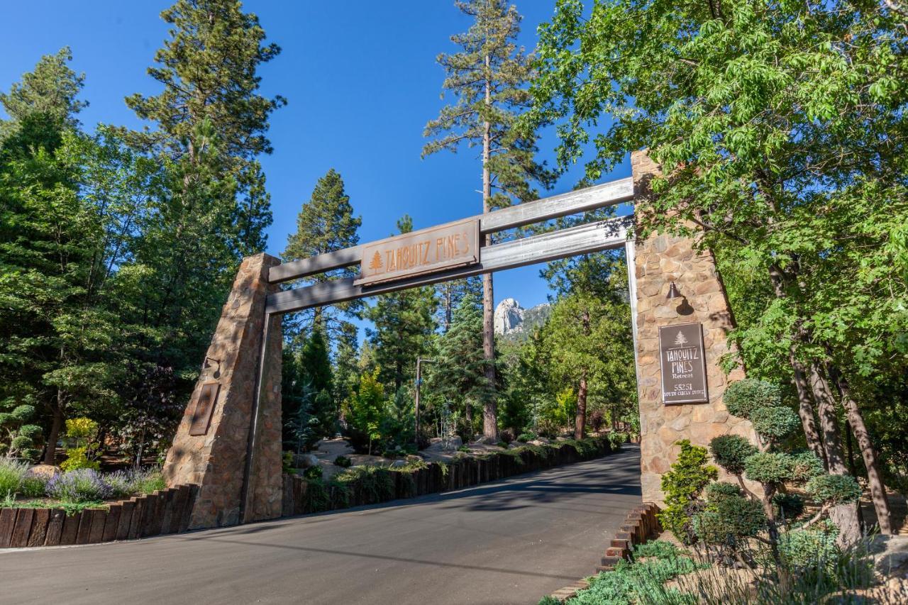 Hotel Tahquitz Pines Retreat Idyllwild Exterior foto